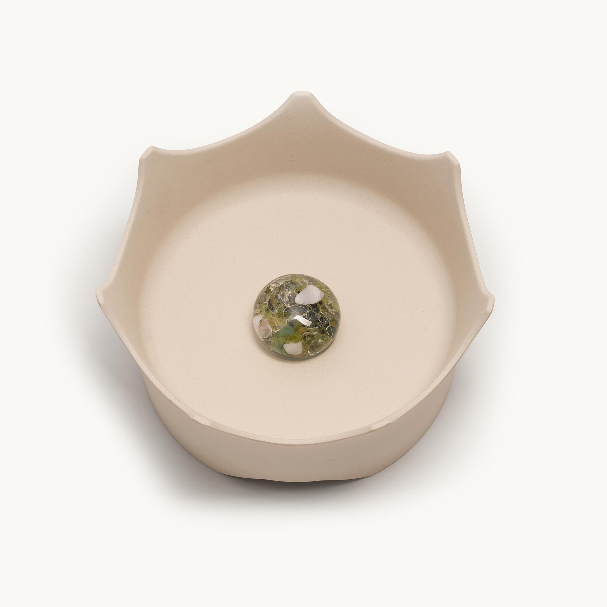 Pet Bowl